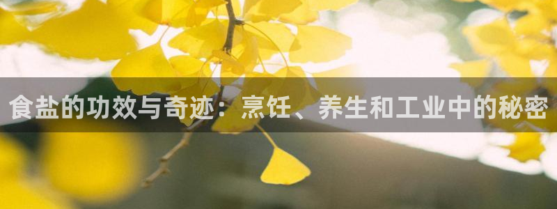 威九国际网站怎么样知乎