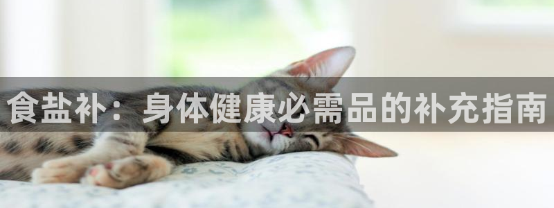 威九国际78mb特点