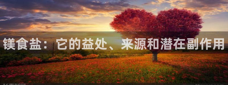 威九国际网站在哪里