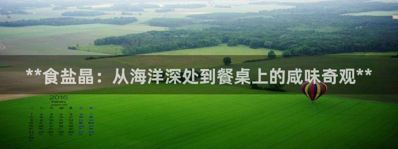 威九国际女主名字