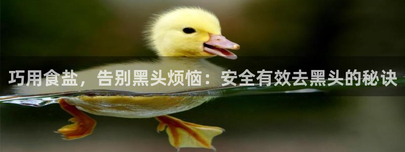 威九国际能提现吗
