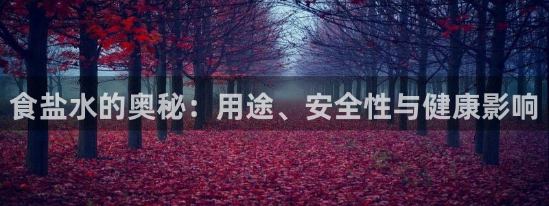 威九国际精忐