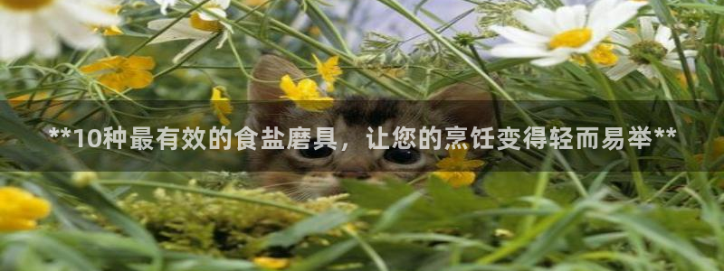 威九国际空降