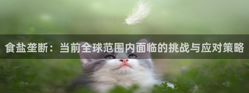 威九国际留学