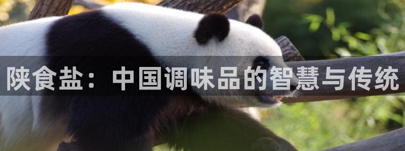 威九国际集团66m一6在线