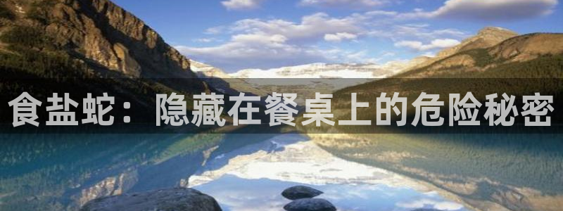 威九国际免费版