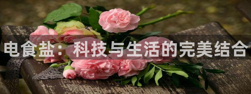 威九国际网站进入客服中心怎么退出