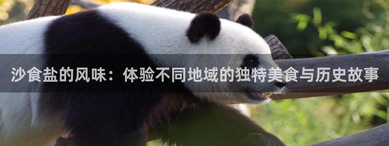 78mapp威九国际免费官方版下载
