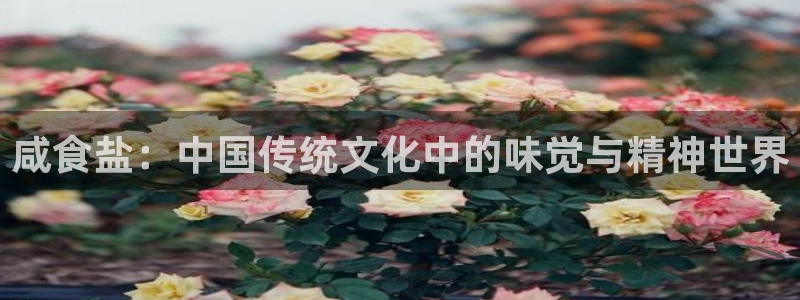 威九国际78cm
