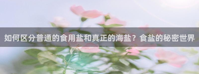威九国际宣传片