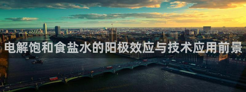 威九国际女星