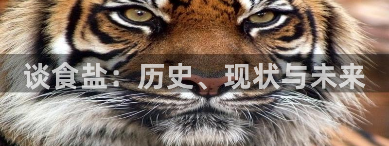 威九国际真人玩家在线对战