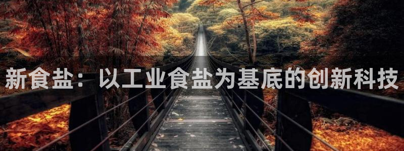 威九国际网站传媒招聘