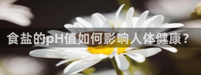 威九国际旗下艺人有谁