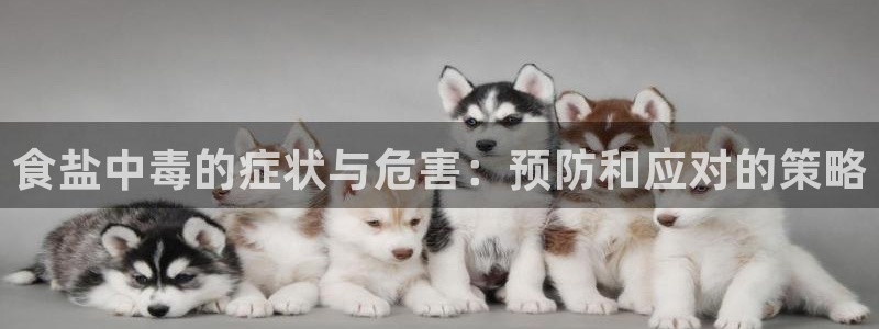 威九国际精忐